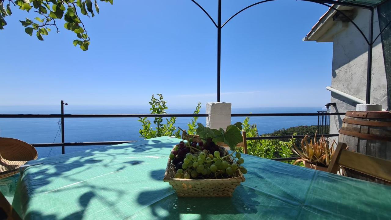 Apartament Sunset - Homy 5 Terre Retreat Biassa Zewnętrze zdjęcie
